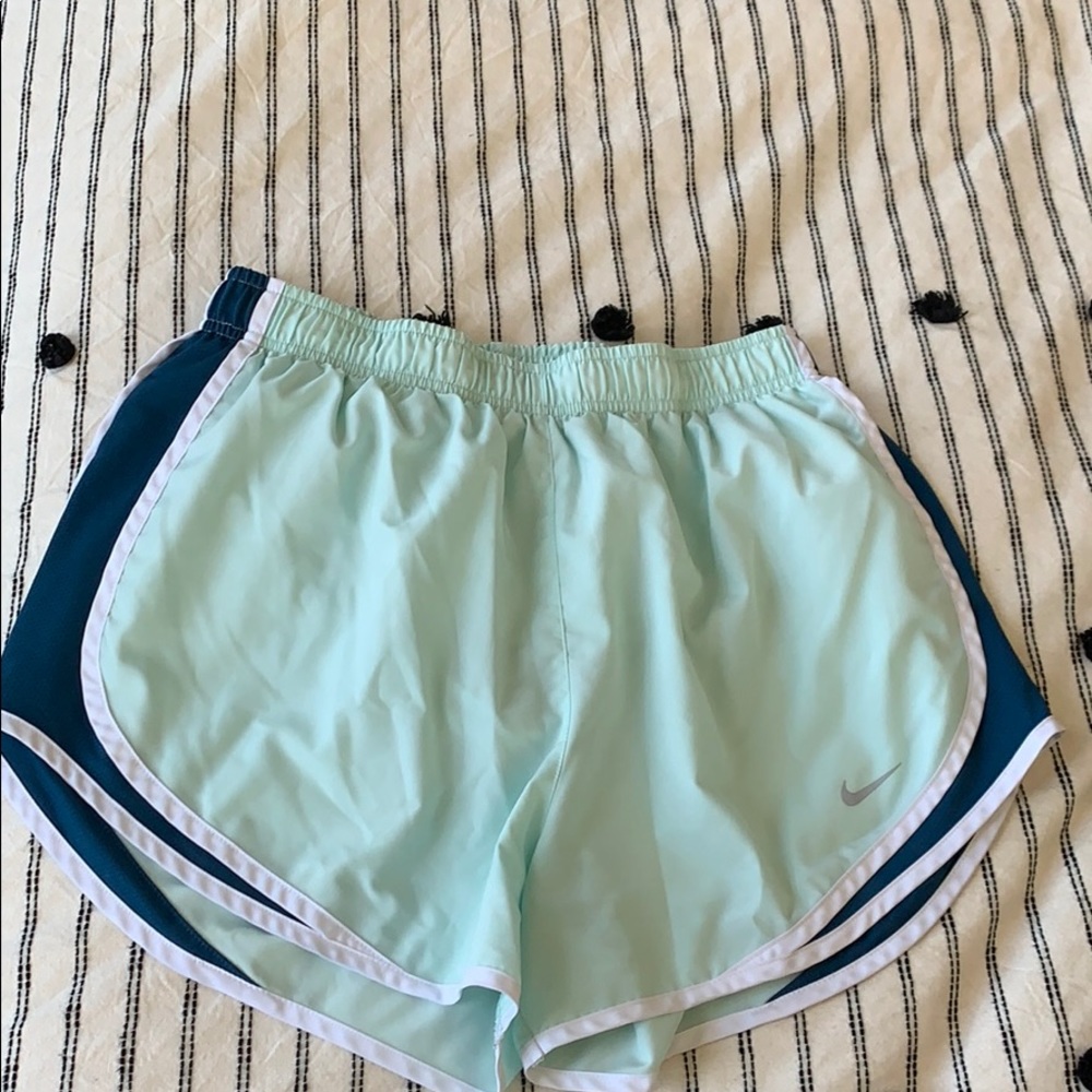 Nike Dri-Fit shorts. Size L.